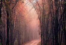 NBA季后赛战况：那不勒斯防线稳固，丹佛掘金进攻受阻，萨拉赫成最佳(极限挑战4孙红雷)